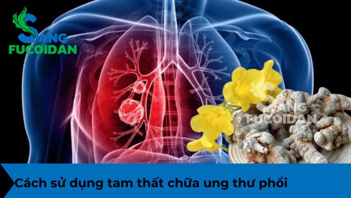 Cách sử dụng tam thất chữa ung thư phổi an toàn, hiệu quả