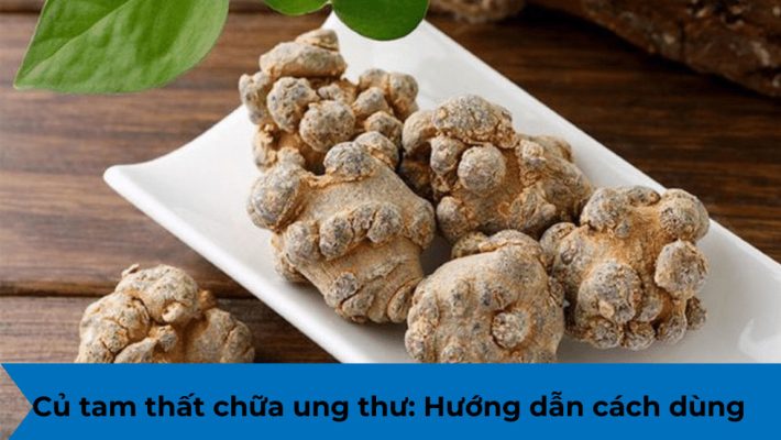 Củ tam thất chữa ung thư: Hướng dẫn cách dùng hiệu quả