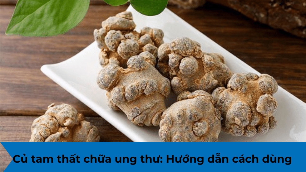 Củ tam thất chữa ung thư: Hướng dẫn cách dùng hiệu quả