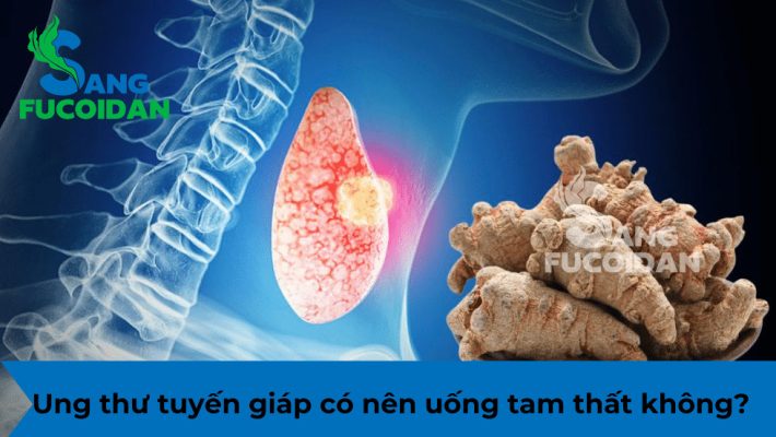 Ung thư tuyến giáp có nên uống tam thất không?