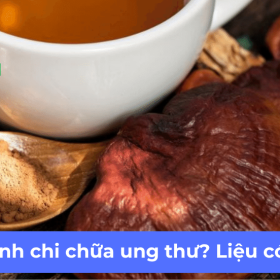 Nấm linh chi chữa ung thư? Liệu có đúng?