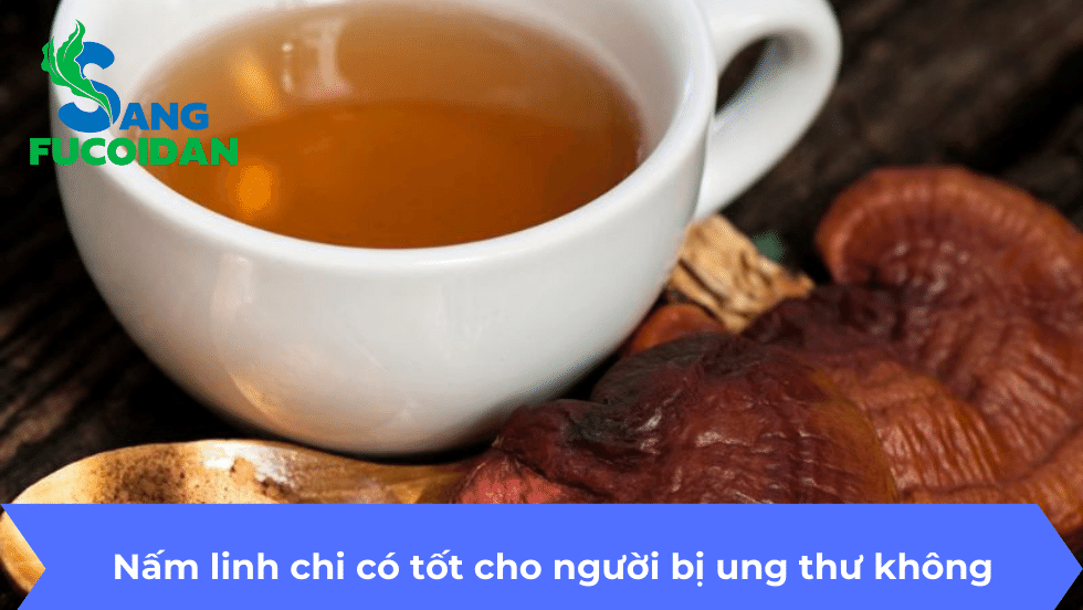 Nấm linh chi có tốt cho người bị ung thư không
